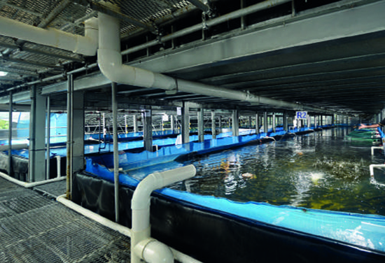 Fact Sheet Floating Ponds.Compressed 8